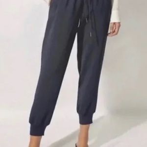 Wilfred Aritzia Buffon Jogger Pants Size Medium